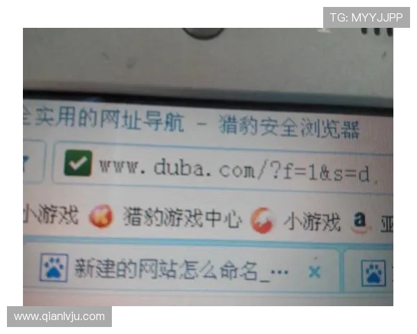 问鼎官方网站入口登录网址常见问题解答与安全保障措施