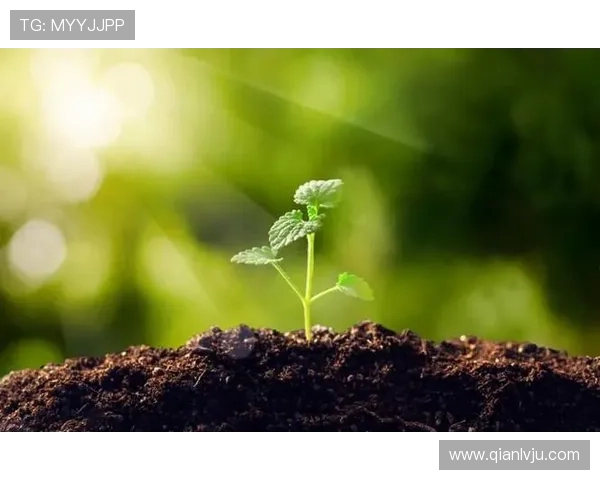 问鼎中国：绿色发展成为企业问鼎中国的核心动力与未来方向